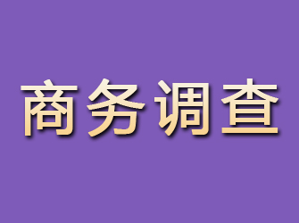 青铜峡商务调查